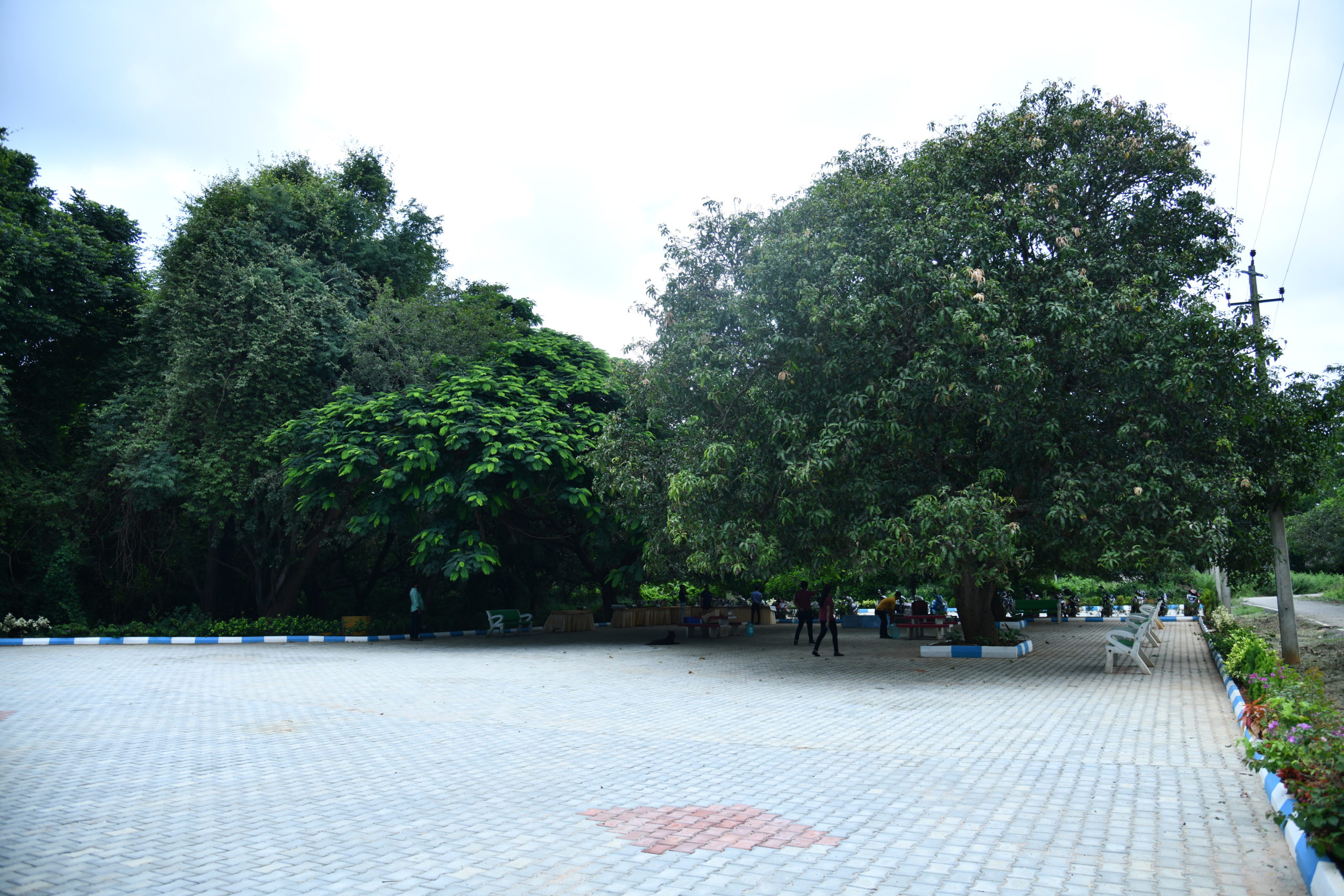Bangalore Campus Gallery