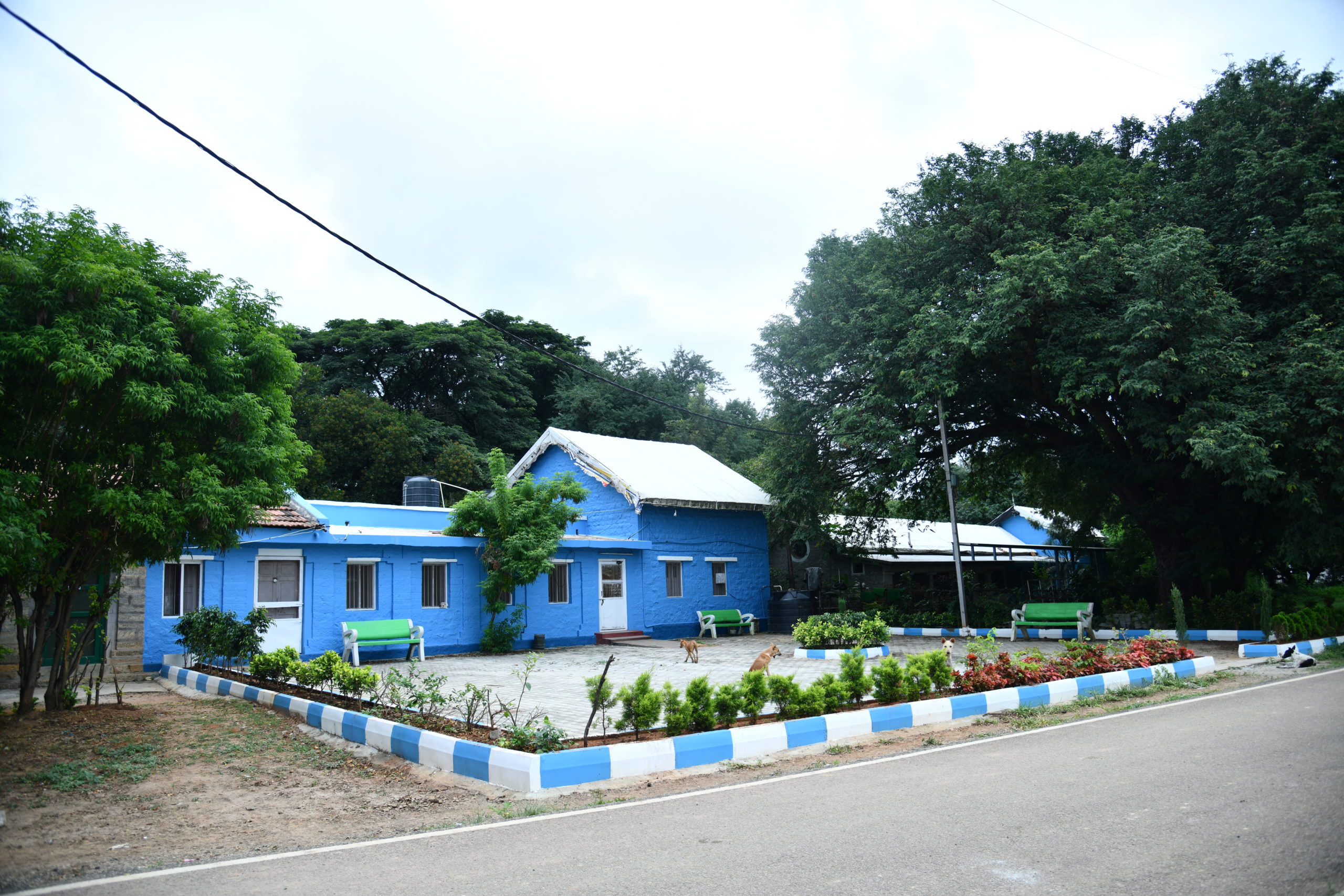 Bangalore Campus Gallery