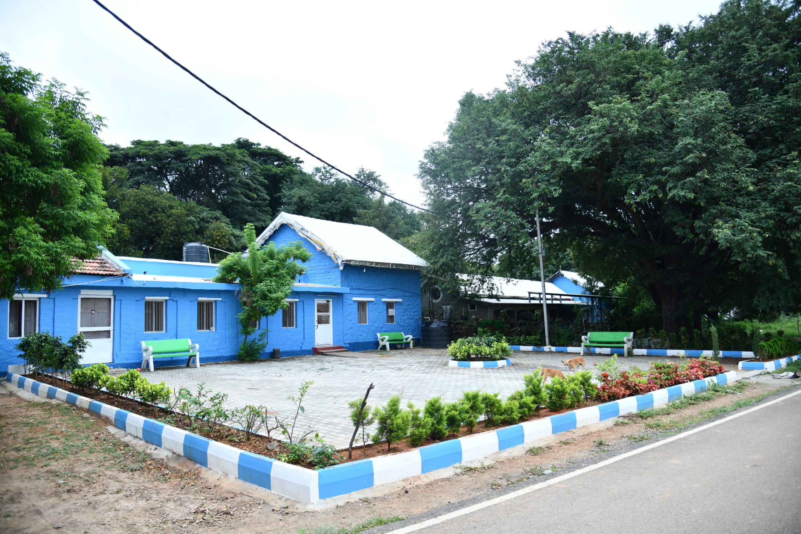 Bangalore Campus Gallery